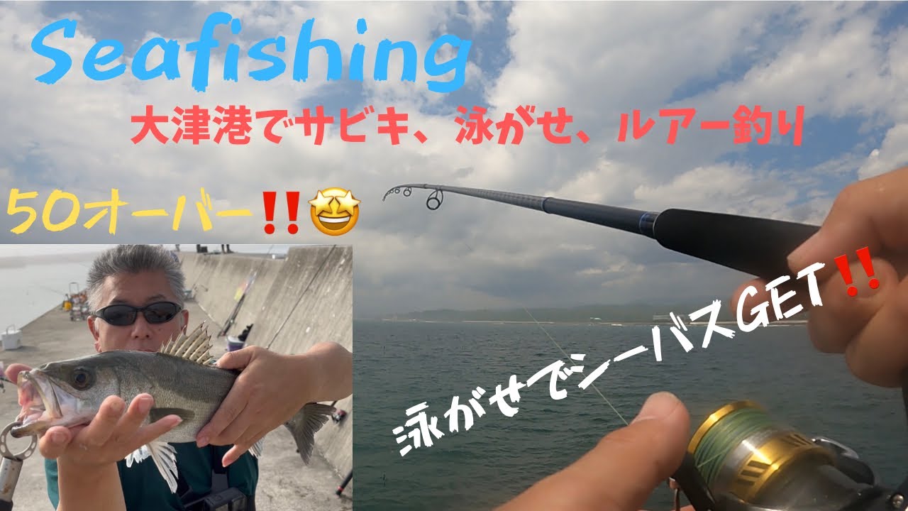 【海釣り】北茨城大津港で50㎝OVERシーバスGET‼️泳がせ強しの巻🐟