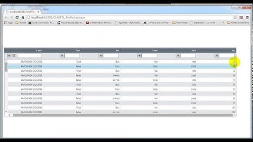 Telerik   Resize RadGrid RTL Problem edit
