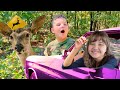 AUBREY GETS HER DRIVING PERMIT and CALEB CATCHES A REAL DEER   ALMOST! Fun and Crazy Family Vlog