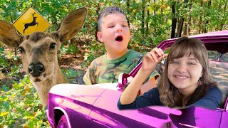 AUBREY GETS HER DRIVING PERMIT and CALEB CATCHES A REAL DEER   ALMOST! Fun and Crazy Family Vlog by Fun and Crazy Family 104,709 views 6 months ago 9 minutes, 56 seconds