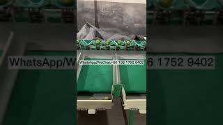 vegetable weight classifier Fruit Size Weight Sorting Machine for apple potato olive orange avocado