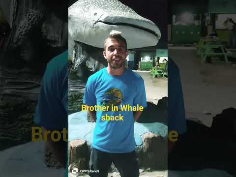 Brother In Whale Shack