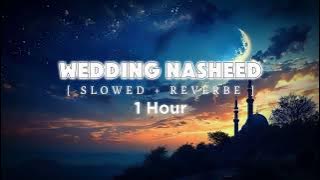 1 Hour Relaxing Wedding Nasheed [ Slowed   Reverb ]