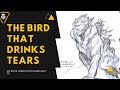 Cg boss talk the bird that drinks tears krafton cgbosstalk