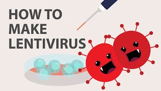 The Basics of Lentivirus Production\/Packaging: Protocol, Tips, and more!