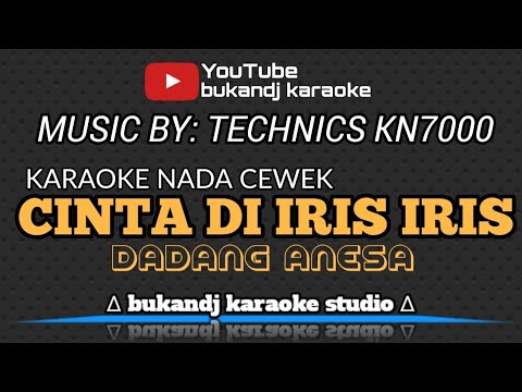 CINTA DI IRIS IRIS KARAOKE - DADANG ANESA | TARLING LIRIK TANPA VOKAL 2024