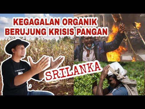 Video: Gargening Organik - Ketahui Tentang Perkara Yang Menjadikan Taman Organik