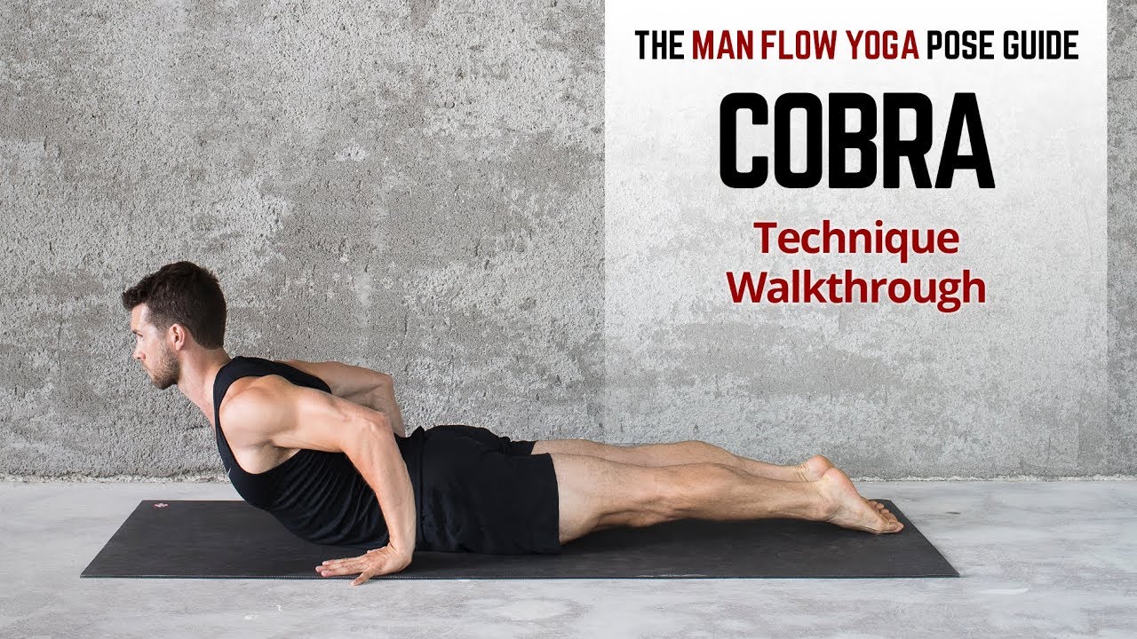 Cobra Pose Reps Cobra Pose Reps