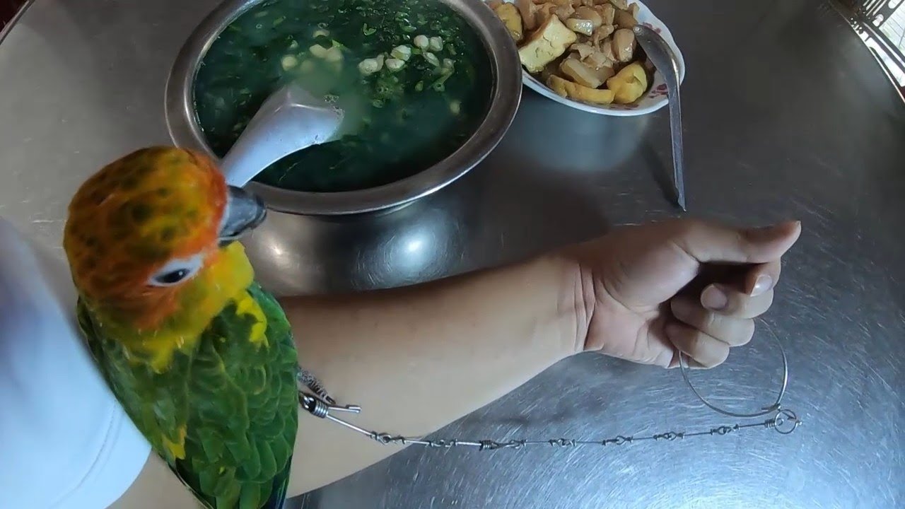 Make tofu braised pork dishes and spinach vegetables with mussel for