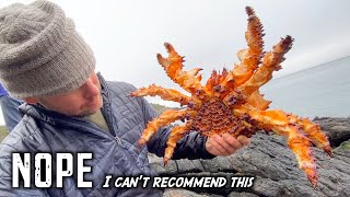 Puget Sound King Crab - Catch & Cook