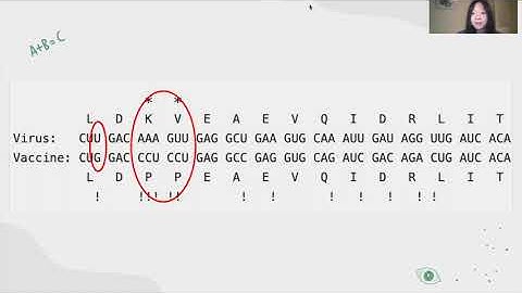 mRNA Vaccine Design process
