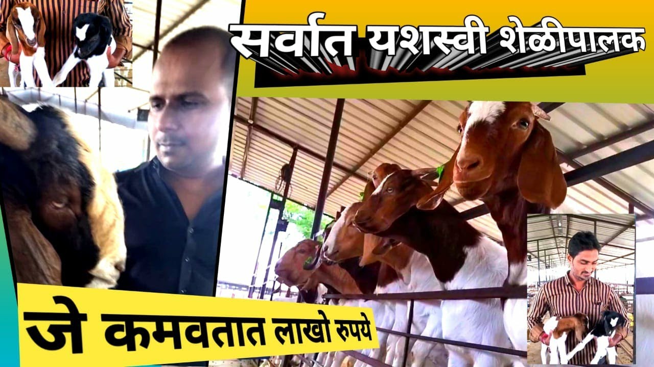 #Excel Goat Farm #ब्रैंड है ब्रैंड #दोन मित्रांचा शेळी पालन व्यवसायातील ...
