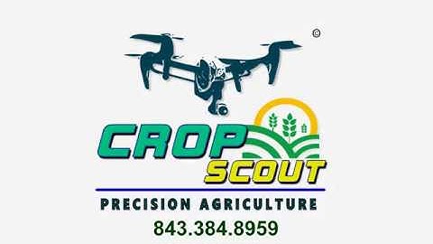 how to aerial drone crop spray farms for agriculture crop scout crop spraying company