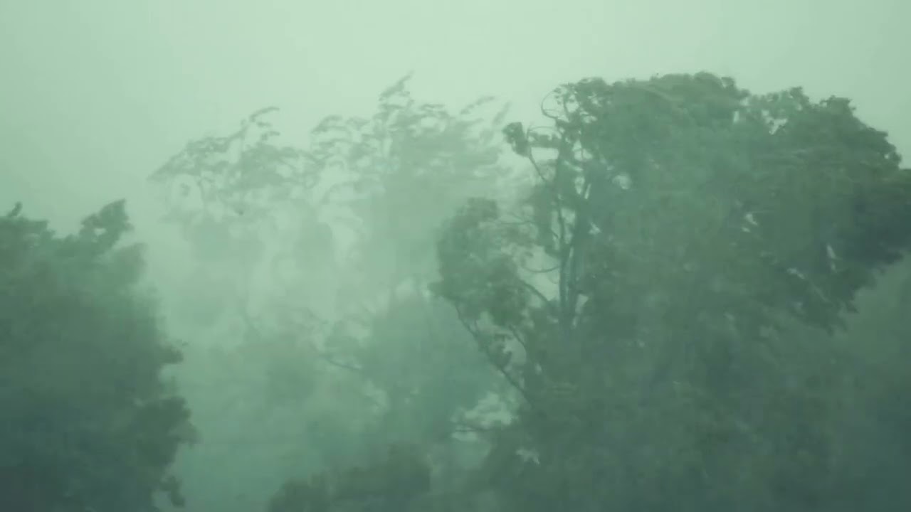 Polecat Power Line Construction