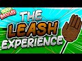 Youtube Thumbnail title