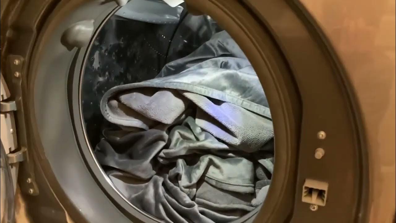 How to remove fleas and ticks from your laundry YouTube