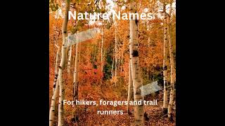 Baby Names - Nature Names #1 Baby Names - Nature Names #1