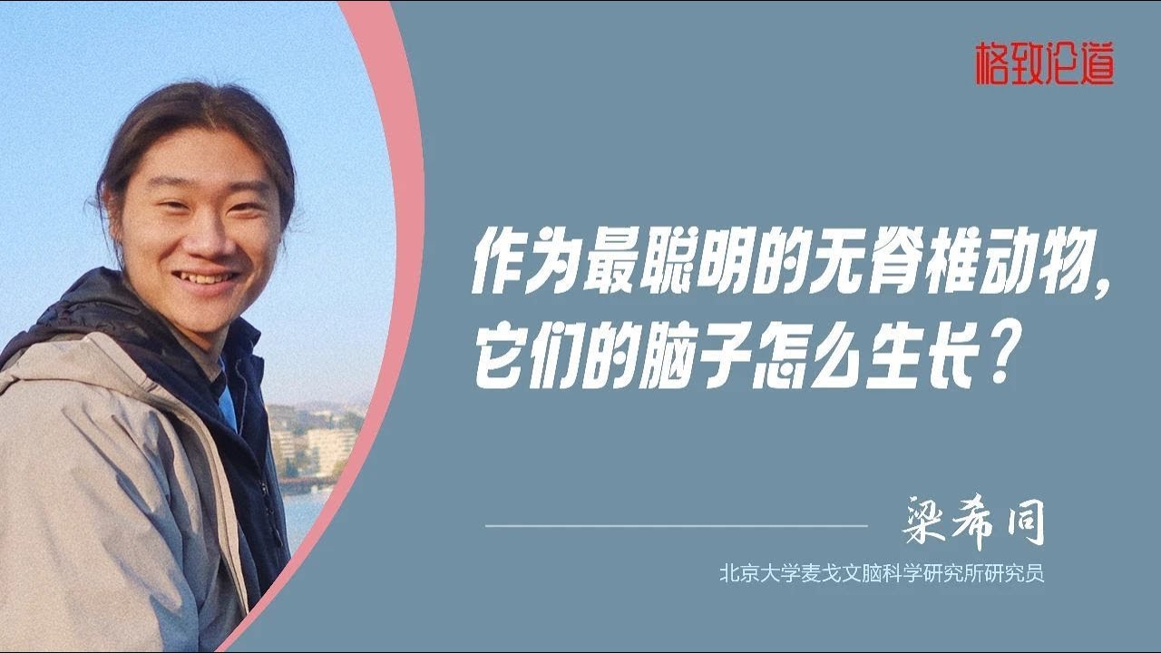 841｜梁希同：无脊椎动物里的“最强大脑”，竟有着如此复杂的神经系统…｜北京大学麦戈文脑科学研究所｜格致SELF - YouTube