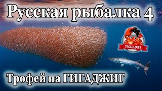 Русская рыбалка 4 Норвежское море Трофей на ГИГАДЖИГ