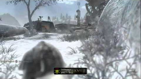 Black Ops Gold M14 Array 30-1