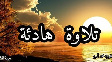 سورة العلق (كاملة) || للقارئ محمد أمين #سورة_العلق#الجزائر#قرآن