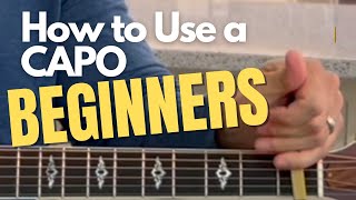 Easy Guitar Chords for Beginners by Matt Cipriano 43 views 1 year ago 6 minutes, 50 seconds