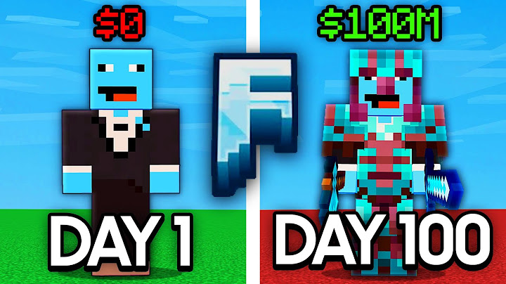 I Joined this Public Minecraft Lifesteal for 100 Days...