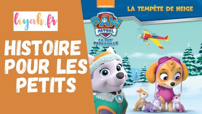 Lecture du Soir : Pat' Patrouille Le Monstre des Neiges 