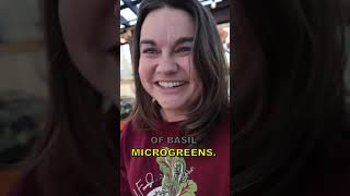 Spring Desperation Solved