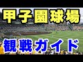 【観戦ガイド】#2 『聖地』アクセスに優れた甲子園球場観戦ガイド！①