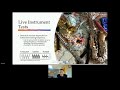 micro:bit LIVE 2021 | Frequency Recognition on the micro:bit V2