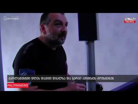 პარლამენტში დღეს დავით დვალსა და ჯარჯი აქიმიძეს მოუსმენენ