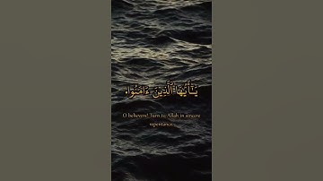 ( يَا أَيُّهَا الَّذِينَ آمَنُوا تُوبُوا إِلَى اللَّهِ تَوْبَةً نَّصُوحًا ) لقارئ احمد العجمي 🎧🧡