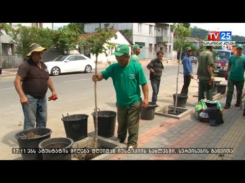 გამწვანების აქცია ვაჟა-ფშაველას ქუჩაზე