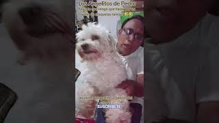 Kevin ayúdame compra boletos de la rifa faltan muchos WhatsApp,5516959963.INF #losangelitosdepedro