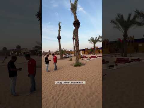 Desert Camping In Dubai | Inside Luxury Desert Camp | #desertsafari #dubai #shorts