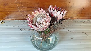 Arranjo em aquário com flor de protea ‹ Art Fleur ›