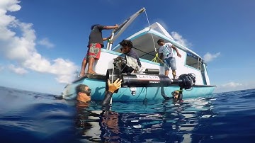 High-speed underwater photo techniques improve data collection ability for marine scientists