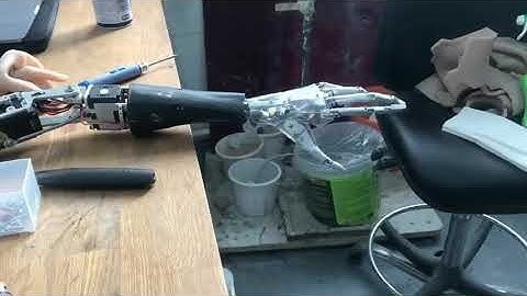 The animatronic hand