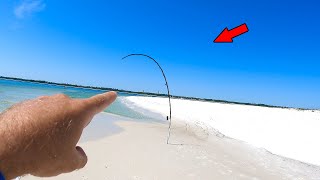 I Did NOT Want to Hook This While Beach Fishing! **MONSTERS**