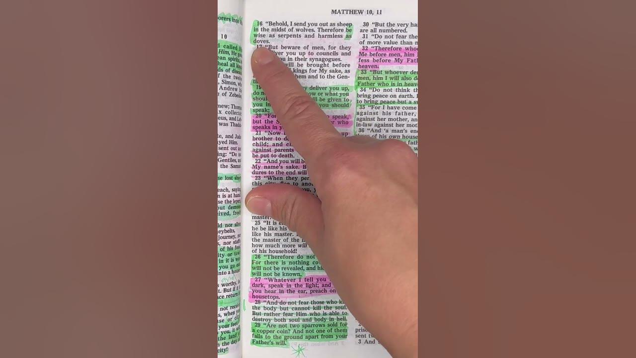 bible-readings-matthew-chapter-10-verse-13-through-18-youtube