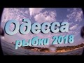 Одесса рыбки 2018