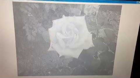 Image viewable on LCD screen is changed as viewing angle is changed.