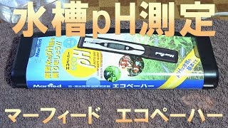 【アクアリウム】うちの水槽のpH測定するよ♪