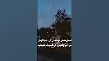 شيلة مايذوق العز ويذوق طعم الانتصار شيله شيلات جفران المري جفران بن هضبان جديد 