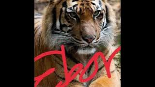 Andika mahesa ft harry_ tak mungkin dendam _ to.  Ristikka_