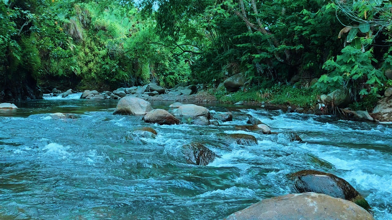 ASMR Sunny River Ambience – Natural Water Flow for Stress Relief