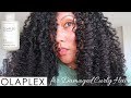 OLAPLEX No. 3 Hair Perfector on DAMAGED NATURAL HAIR...DOES IT WORK??? | Ashkins Curls