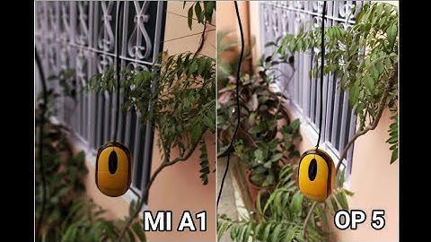 Xiaomi MI A1/5X Vs Oneplus 5 camera test | Oneplus 5 Vs Xiaomi MI A1 camera comparision | Sample