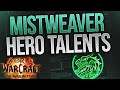 Conduit of the celestials hero talents overview  thoughts